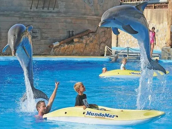 Complex בנידורם